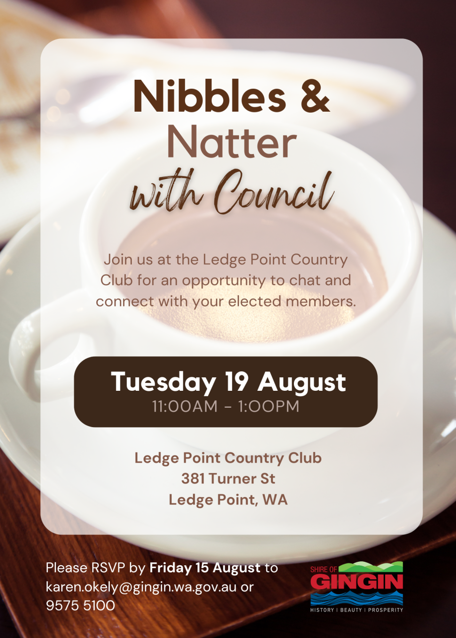 Nibbles & Natter with Council